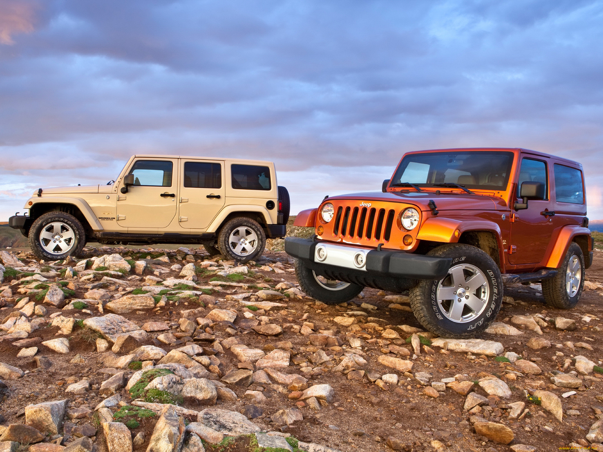 , jeep
